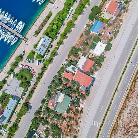 Jasmine Готель *